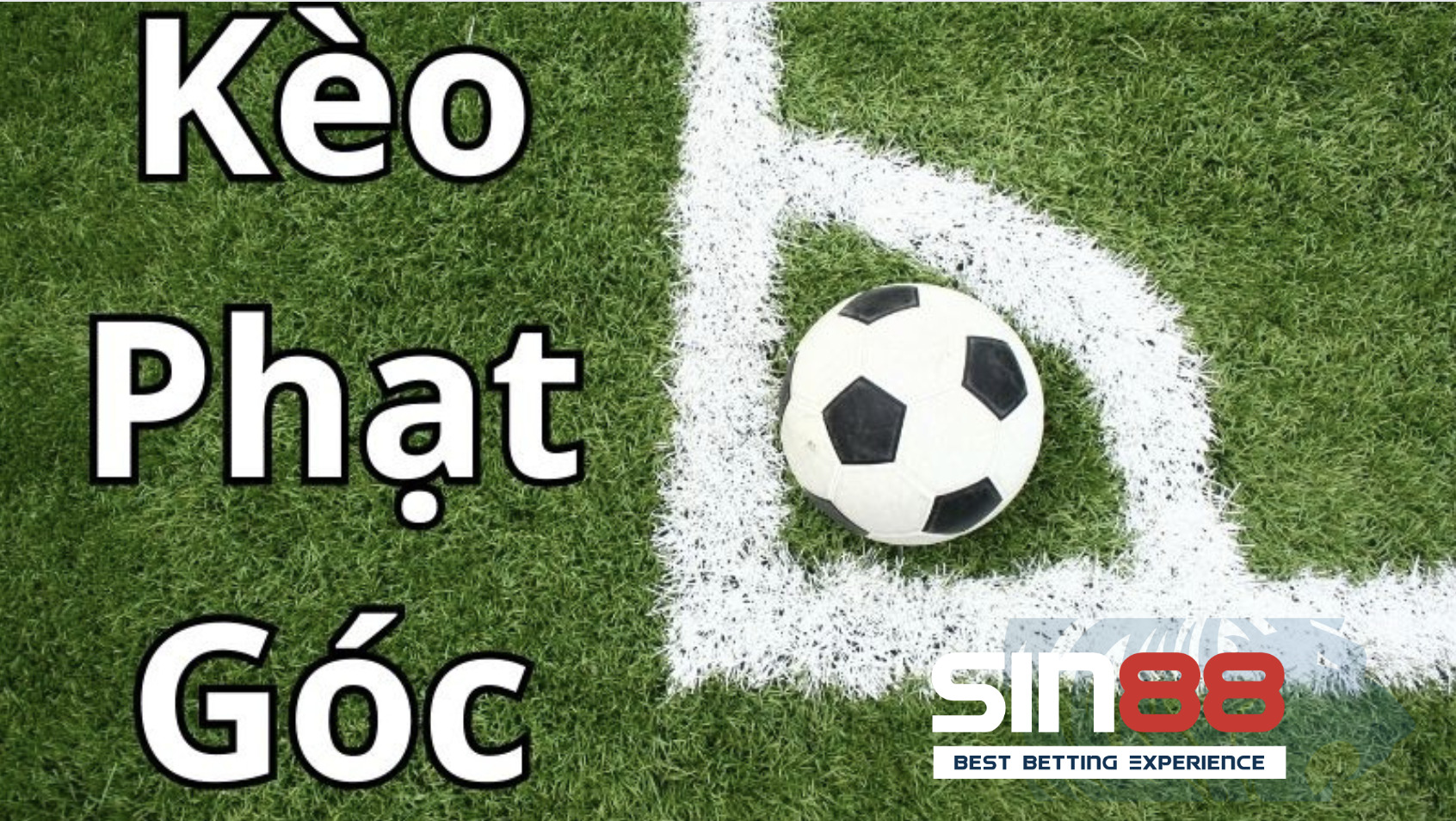 Kèo phạt góc là một dạng kèo phụ trong cá cược bóng đá Kèo phạt góc là một dạng kèo phụ trong cá cược bóng đá