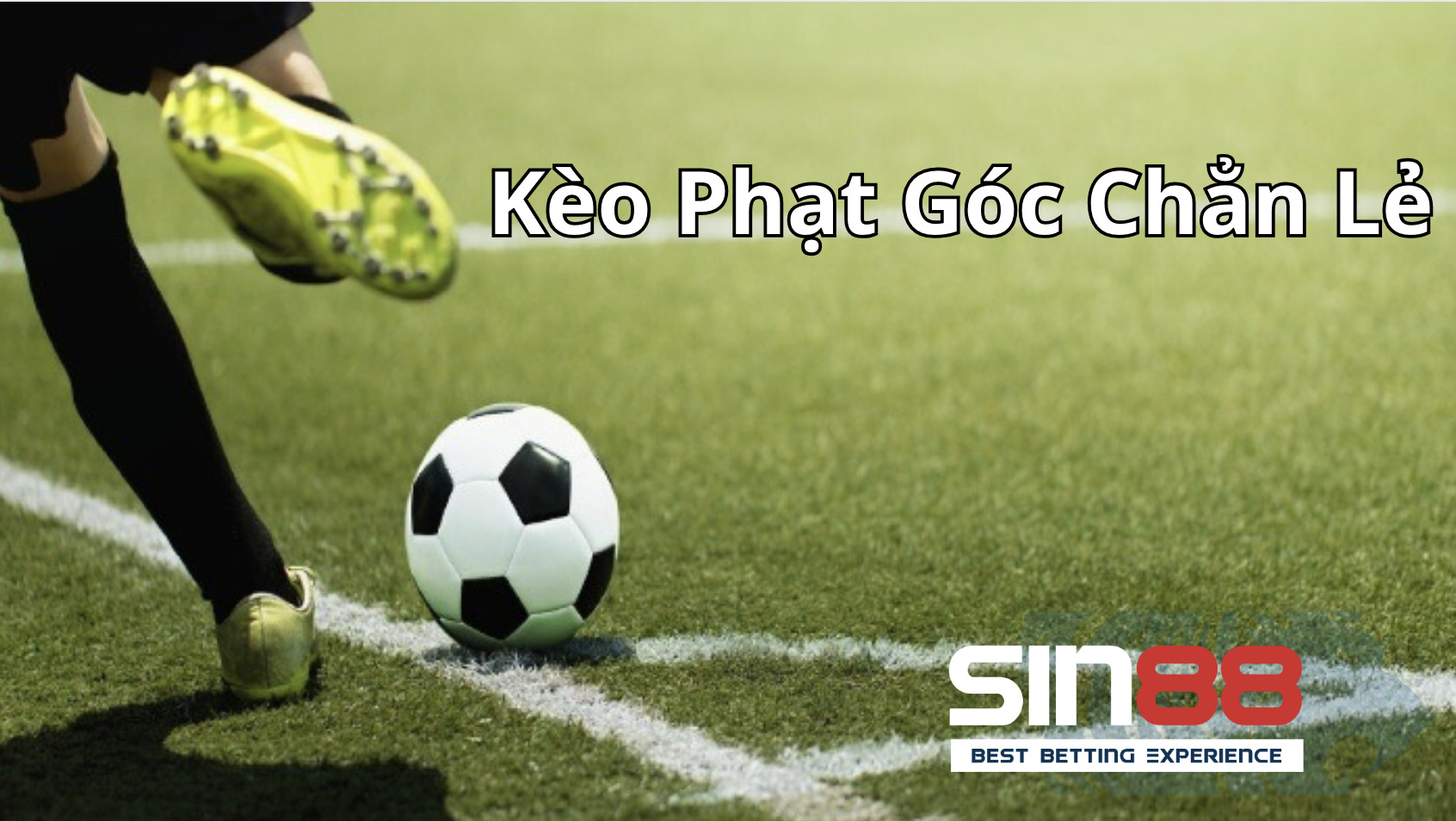 Kèo phạt góc chẳn lẻ trong bóng đá Kèo phạt góc chẳn lẻ trong bóng đá